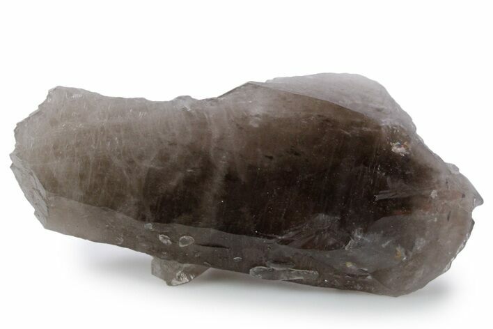 Natural, Dark Smoky Quartz Crystal - Colorado #356722